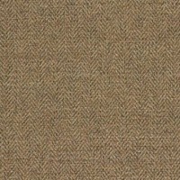 Montauk Plain Gold