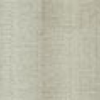 Paris Stripe Oyster