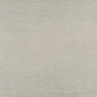 Atlantis Silver