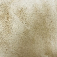 Vancouver Cream