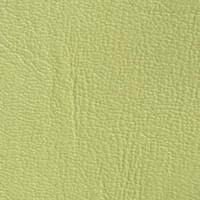 Wasabi