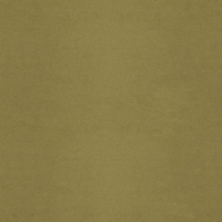 A908 Plush Moss