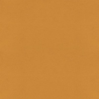 A907 Plush Turmeric