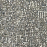 C672 Desert Silver