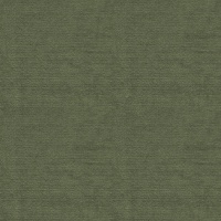 B281 Liso Kelp (Aquaclean)