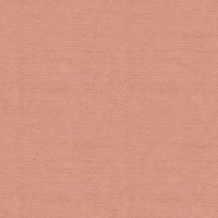 B285 Liso Coral (Aquaclean)