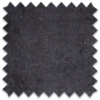 Daytona Coal