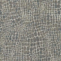 C672 Desert Silver