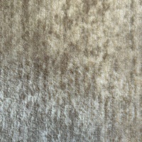 Sherpa Oyster