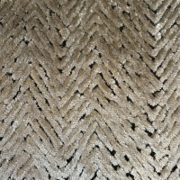Arcata Mink