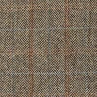 Herringbone Moss