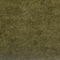 Kingston Olive