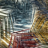 Amazon Tropical 
