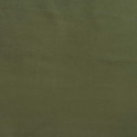 Plush Evergreen
