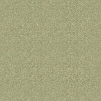 Boucle Fennel