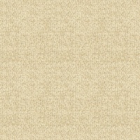 Boucle Oyster
