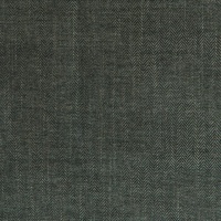 Sierra Conifer