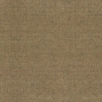 Montauk Plain Gold