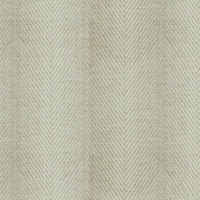Paris Stripe Oyster