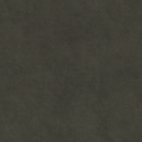 Wren Charcoal