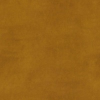 Wren Mustard