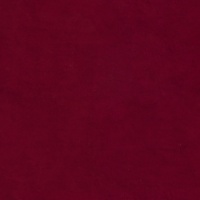 Wren Ruby