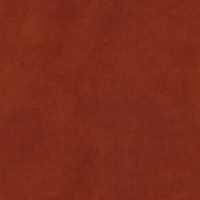 Wren Rust