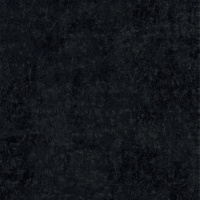 Daytona Coal