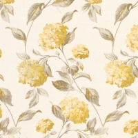 Hydrangea Camomile