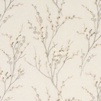 Pussy Willow Dove-Grey