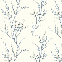 Pussy Willow Seaspray