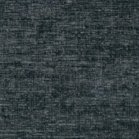 Dune Fossil