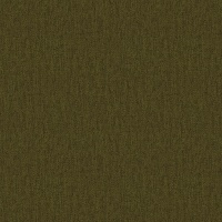 Blythe Olive