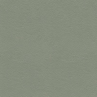 L858 - Cambridge Olive