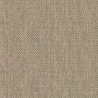 B267 - Calor Ginger