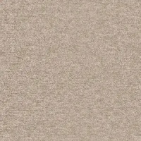 B277 - Grano Coconut