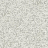 A123 - Stingray Platinum