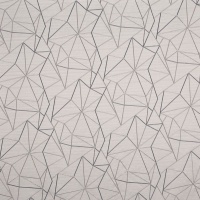 Fraction Silver