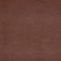 Dallas Tan