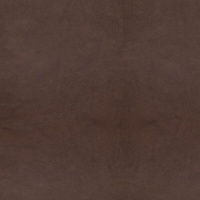 Dallas Dark Brown