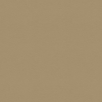 Como Taupe