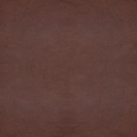 Revolution Chocolate