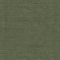 Liso Kelp - B281 - Copy