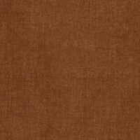 U025 Burnt Umber
