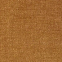 B199 - Harmony Ochre