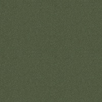B181 - Flourish Olive
