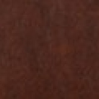 Dallas Tan
