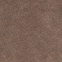 NEVADA_TABAC