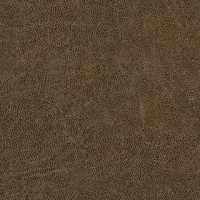 NEVADA_COFFEE
