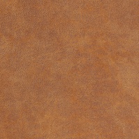 NEVADA_COGNAC